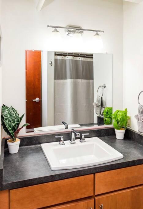 Appartamento Centric Modern Loft W/ King Beds Rochester Esterno foto